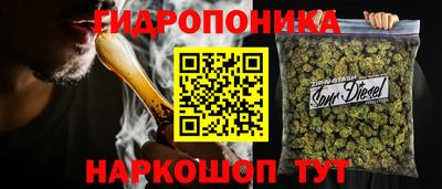 стафф Вязьма
