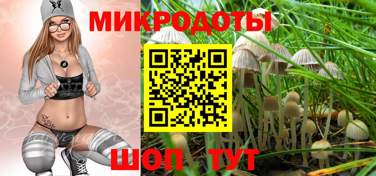 Красногорск  Псилоцибиновые грибы Psilocybine cubensis  Вход с VPN 